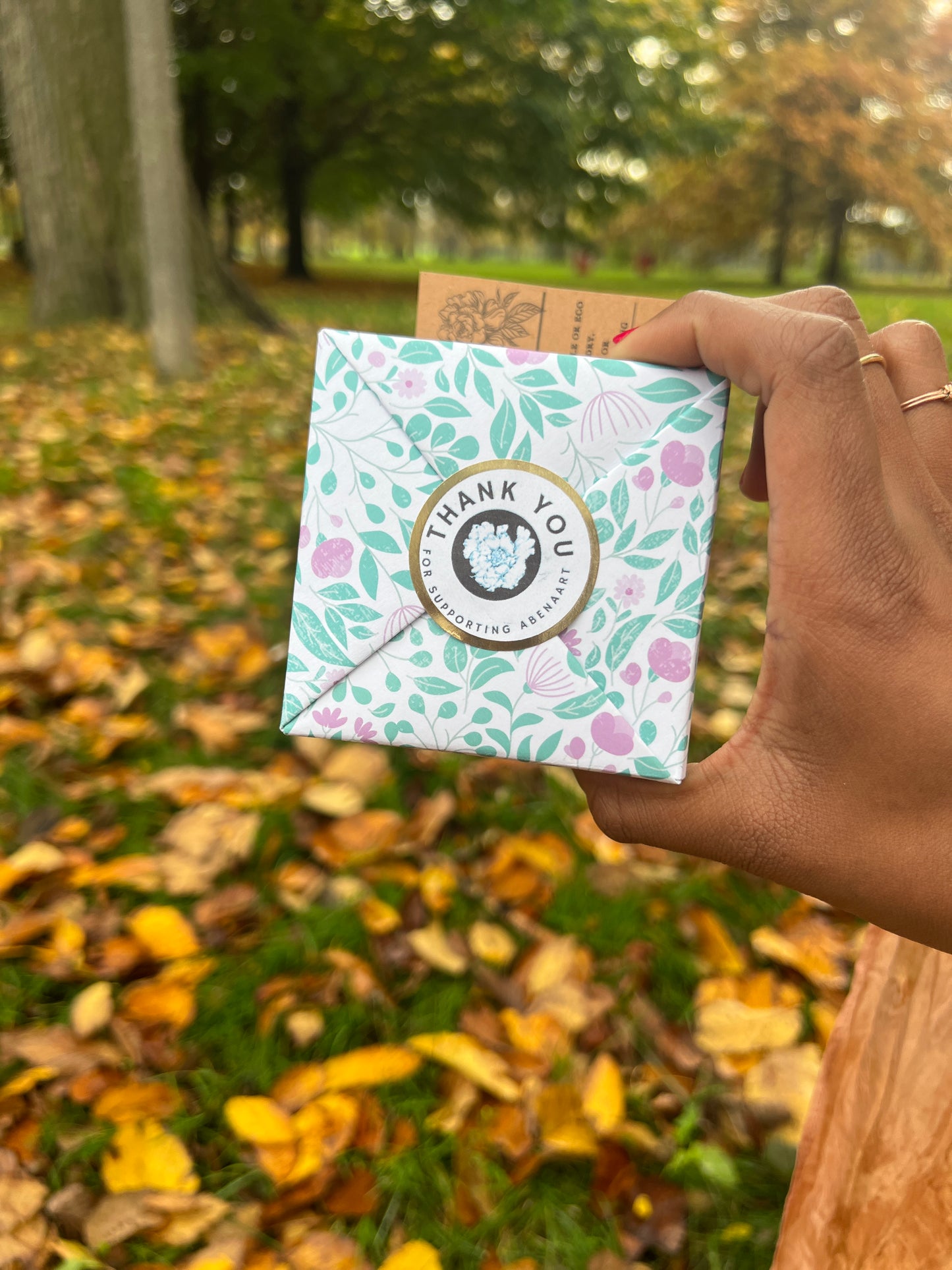 Natural Painting Inks & Clear Fountain pens