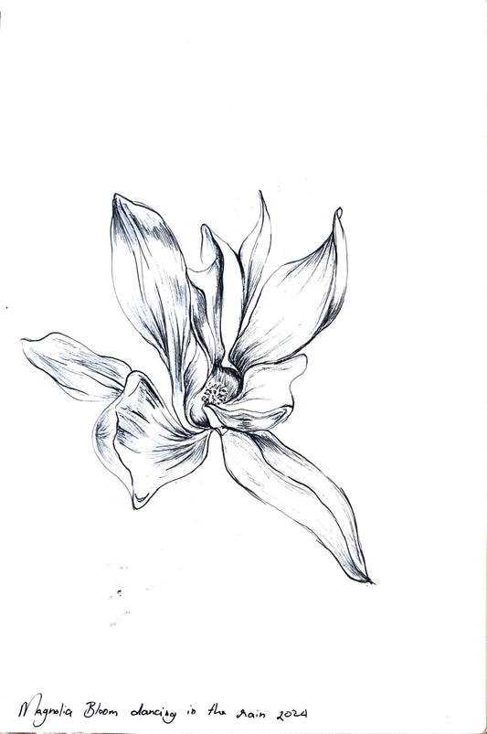 Custom Plant Portraits (Ink Drawing)