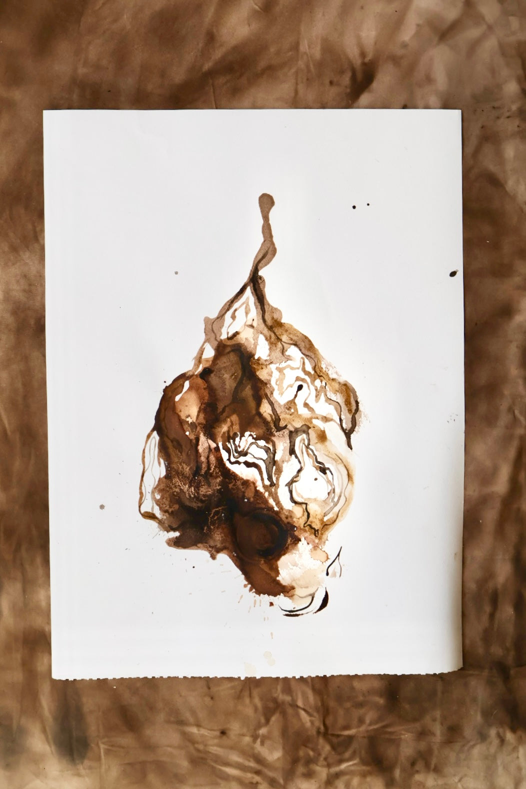 Earth, Tea, Pigment Stained (Original Pigment Paintings on Paper)