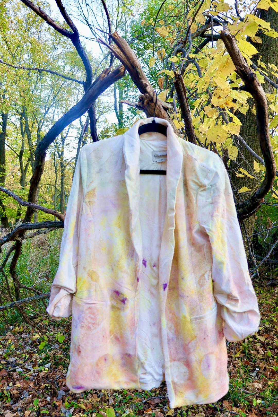 Golden Whisper - Dakota Blue Blazer, Large